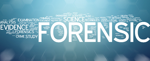 CyberInfosys Courses : Forensic